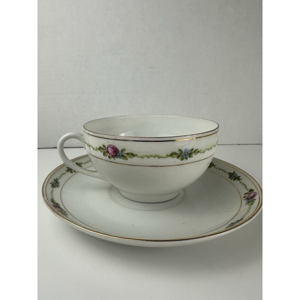 Classic Bavaria Pink Roses Cottage Core Cup And Saucer